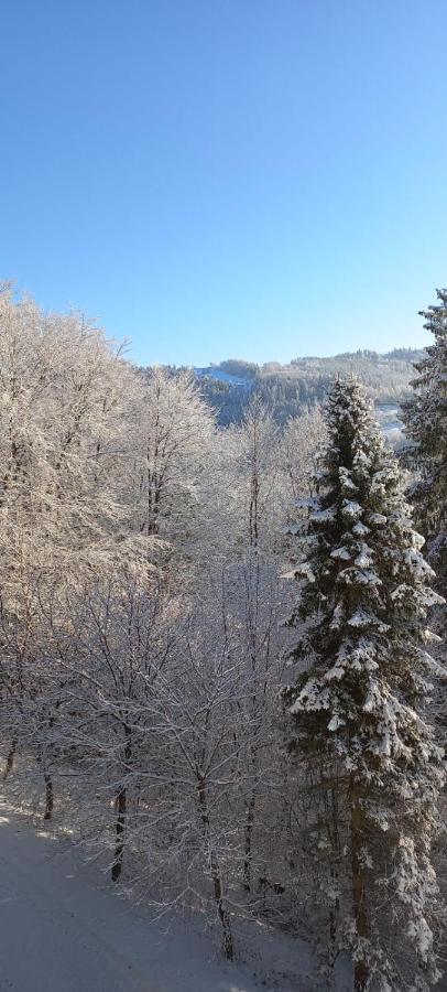 Apartament Widokowy Z Tarasem Bukowa Wisla Bagian luar foto